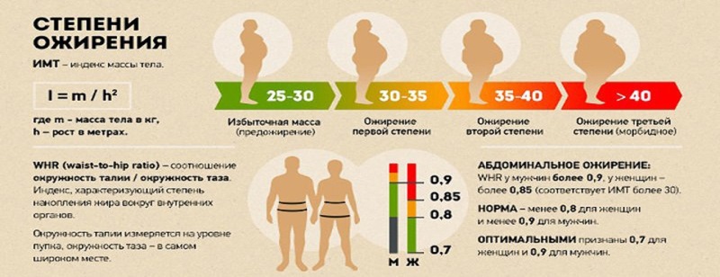 Ожирение 1 Степени У Женщин Лечение Диета