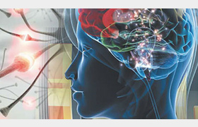 Конференция «Актуальные вопросы современной эпилептологии»