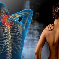 Болезни мышц: виды, причины и диагностика