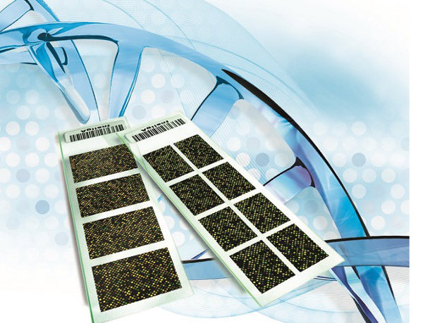 Сравнительная геномная гибридизация на чипах