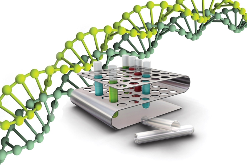 геномная гибридизация на чипах