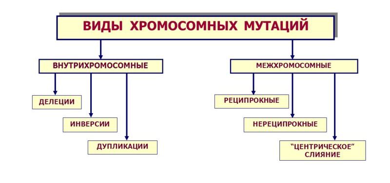 Классификация хромосомных патологий
